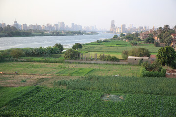The Nile bank in the late afternoon