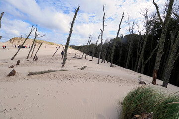 Słowiński Park Narodowy jest położony w środkowej części polskiego wybrzeża. Jest położony w środkowej części polskiego wybrzeża. Charakterystycznym elementem parku jest wydmowy pas mierzei z ruchomym © JDziedzic