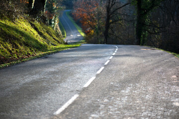 Fototapeta premium Quiet winding road through rural forest with autumn foliage