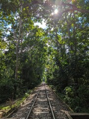 The rail line in the forest, Entrance alley to the Lawachara national park near Sreemangal, Bangladesh