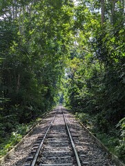 The rail line in the forest, Entrance alley to the Lawachara national park near Sreemangal, Bangladesh