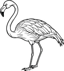 Obraz premium flamingo line art vector illustration silhouette, Print