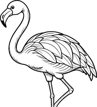 recommend clip art: flamingo line art vector illustration silhouette, Print