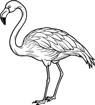 recommend clip art: flamingo line art vector illustration silhouette, Print