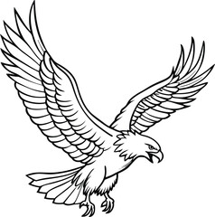 Fototapeta premium eagle flying bird line art vector illustration silhouette, Print