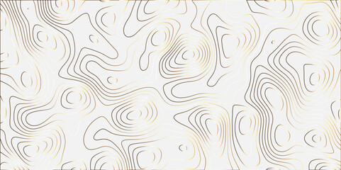 Fototapeta premium Topographic canyon geometric map relief texture with curved layers and shadow. abstract White background with a beautiful pattern, Topographic contour lines vector map seamless pattern vector. 