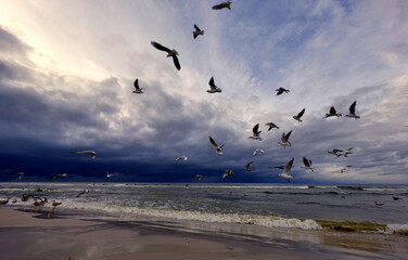 Spacerując wieczorem nad brzegiem morza spotykamy turystów, ptaki i jestesmy światkami pięknych zachodów słońca