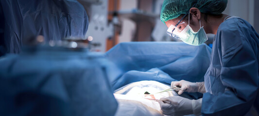 	
Team of doctors or surgeons in hospital surgery operating emergency room showing patient heart...