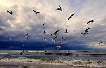 Spacerując wieczorem nad brzegiem morza spotykamy turystów, ptaki i jestesmy światkami pięknych zachodów słońca © JDziedzic