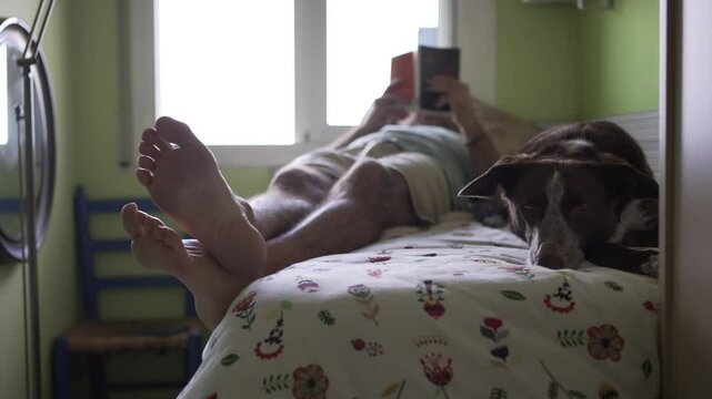 horizontal video of man reading in bed next to his dog, in foreground bare feet and dark dog's face bored and relaxed. Pistachio-coloured youth room with quilt