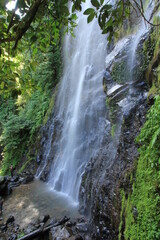 Fototapeta premium the cigame waterfall on the slopes of Mount Halimun Salak has its own characteristics, namely a cascading waterfall