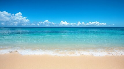 Fototapeta premium beach with sky