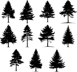 Obraz premium pine trees silhouette set illustration