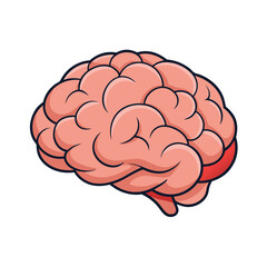Simplified Human Brain Vector with Bold Outlines and Pink Tones.