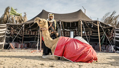 Arabian warrior sitting with his camel and falcon in front of his traditional Bedouin tent 