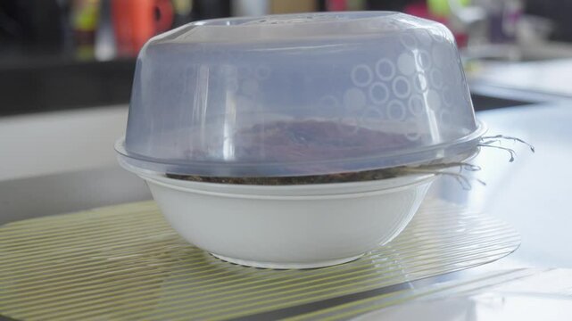 Fried bangus on plate, on top of bowl, with food cover