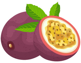 Fruit, Passion Fruit, Tropical Fruits, Illustration Hand drawn