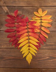Obraz premium fall leaves in a heart shape