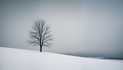 Cold Landscape | Winter | Snow