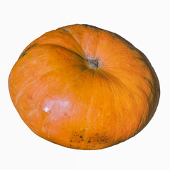 Large round textured orange pumpkin isolated on white background.