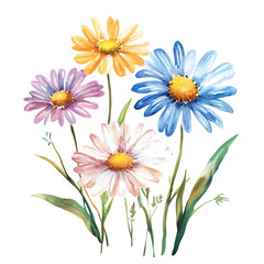 Fototapeta premium Four colorful daisies with green leaves, arranged in a cluster. The daisies are a light blue, pink, white and orange. A bright yellow center on each daisy.