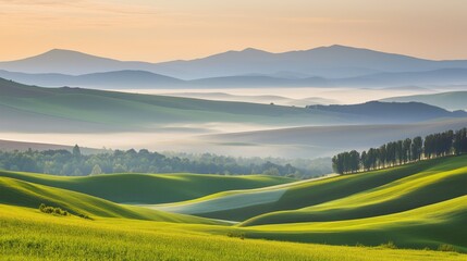 Obraz premium Morning fog over a peaceful valley with distant hills generated AI
