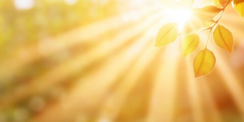 Beams of spotlight on blank stage with bright golden background