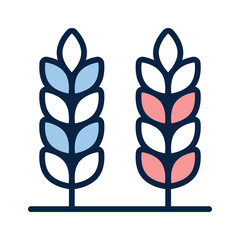 Wheat barley stalks, symbolizing grain harvest in the garden