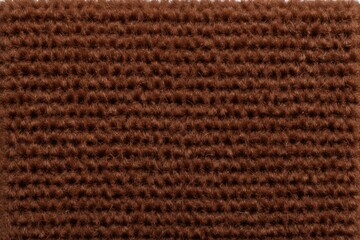 Brown Coconut Rug Cozy Texture and Natural Durability for Your Environment
