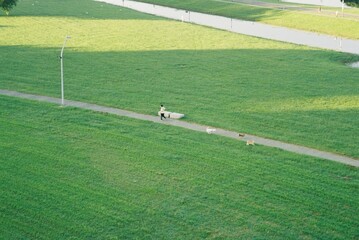 Running person and dogs