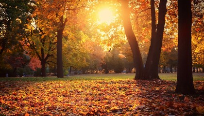 秋の公園 落ち葉 黄色い葉 紅葉 autumn park fallen leaves yellow leaves autumn leaves