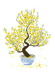 Ochna integerrima vector. Ochna flower tree clip art. Vietnam traditional new year flower clipart, hoa mai. Tet flower. Apricot blossom. Flat vector in cartoon style isolated on white background.