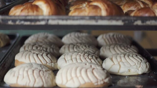 Close-up of multiple trays filled with assorted baked pastries cooling on racks inside a bakery.