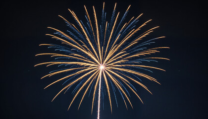 Fototapeta premium Fireworks Display Art, Celebration, holidays