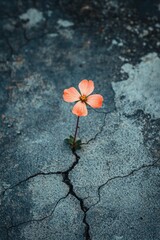 Naklejka premium A blooming flower growing through cracks in concrete, symbolizing resilience in the face of adversity