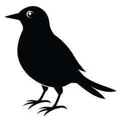 bird on a branch