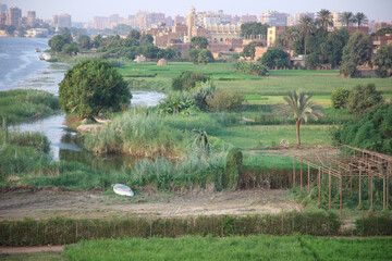The Nile bank in the late afternoon