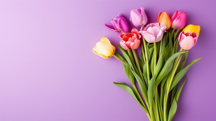Colorful spring tulips bouquet on purple background with copy space.