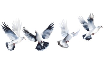 Fototapeta premium Illustrate a serene flock of doves mid-flight, their graceful wings outstretched, against a clean white canvas
