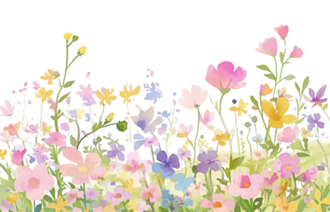 PNG Colorful watercolor wildflower meadow