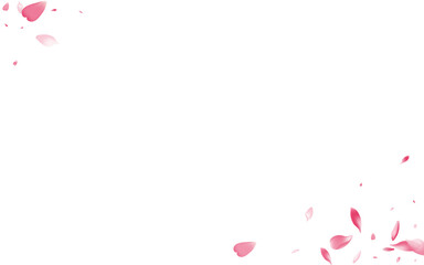 2560X1600G-04__Violet_sakura3_01.eps