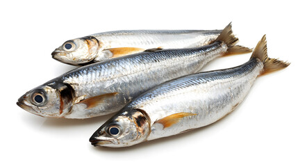 Fototapeta premium Herring fish isolated on white background