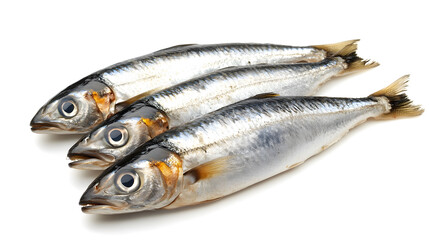 Fototapeta premium Herring fish isolated on white background