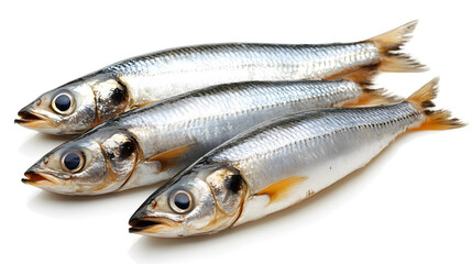 Obraz premium Herring fish isolated on white background