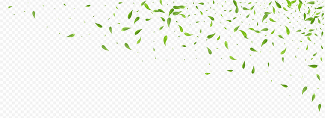 3360X1225pan1-09__leif_14_01.eps