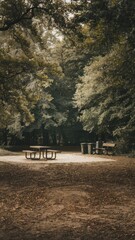 Obraz premium Serene Forest Picnic Area with Tables and Trash Bins