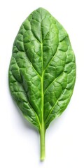 Fresh Spinach Leaves Isolated on White Background - Organic Greens Stock Photo