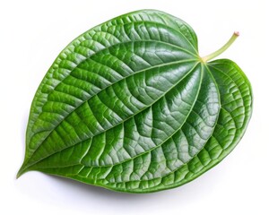 Obraz premium Fresh Betel Leaf Isolated on White Background