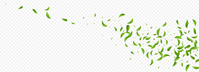 3360X1225pan1-07__leif_2_01.eps