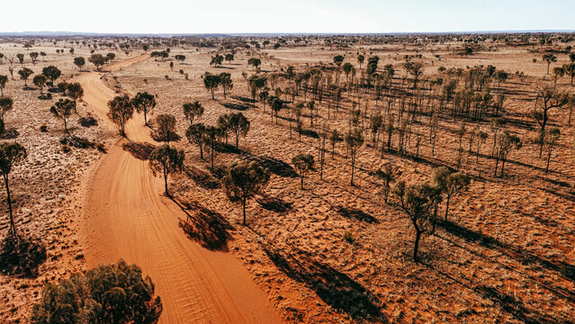 Drone footage of a gravel road in the Australian red centre. Orange road with trees on the side. Drone view of the australian outback in Rainbow valley.